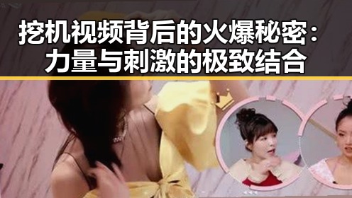 挖机视频背后的火爆秘密：力量与刺激的极致结合