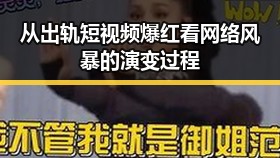 从出轨短视频爆红看网络风暴的演变过程